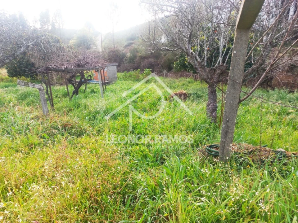 Terreno para Venda em Vila Velha de Rodão Foto 7