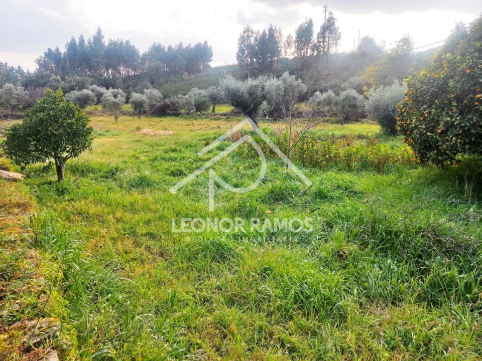 Terreno para Venda em Vila Velha de Rodão Foto 12