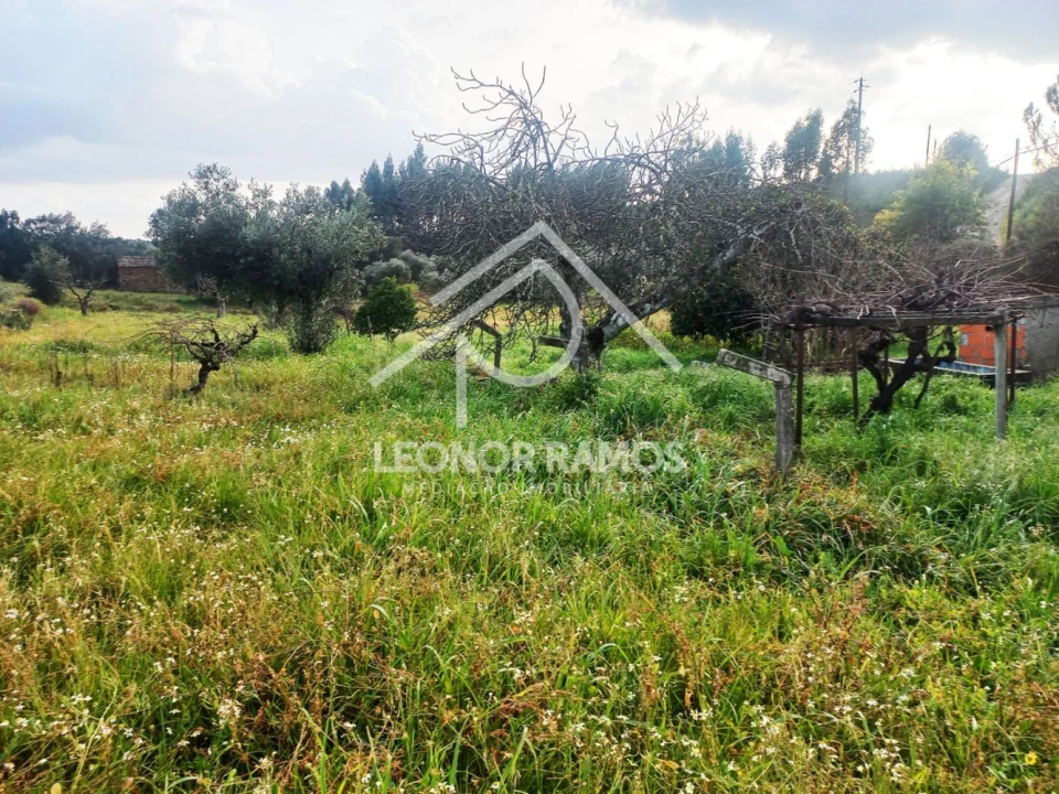 Terreno para Venda em Vila Velha de Rodão Foto 8