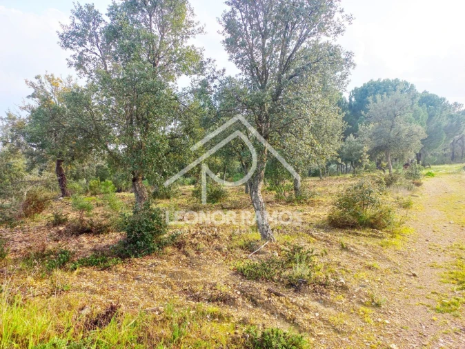 Terreno para Venda em Vila Velha de Rodão Foto 3