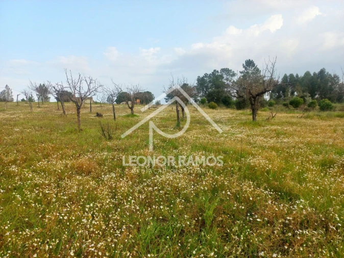 Terreno para Venda em Vila Velha de Rodão Foto 9