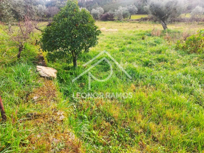 Terreno para Venda em Vila Velha de Rodão Foto 15