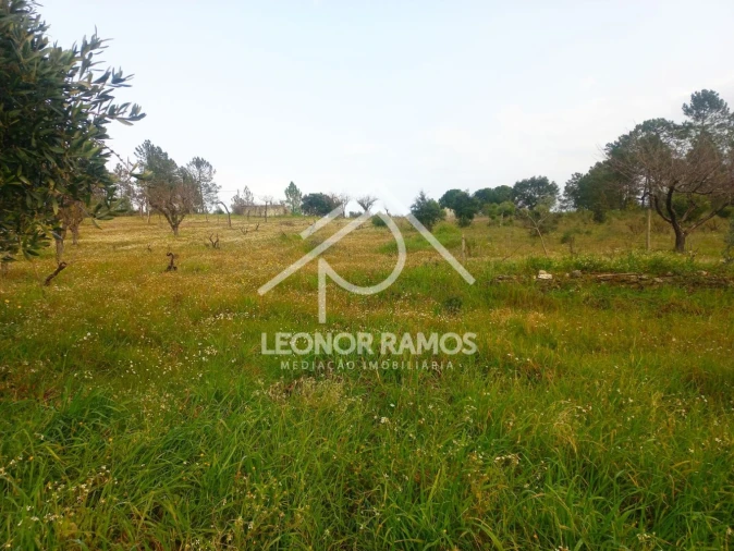 Terreno para Venda em Vila Velha de Rodão Foto 17