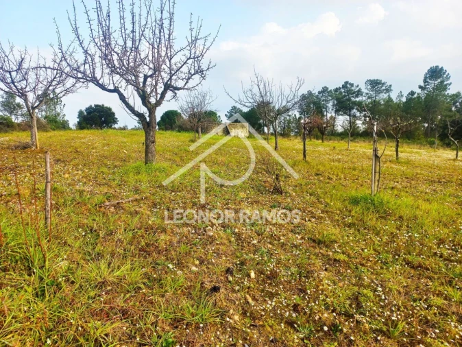 Terreno para Venda em Vila Velha de Rodão Foto 5