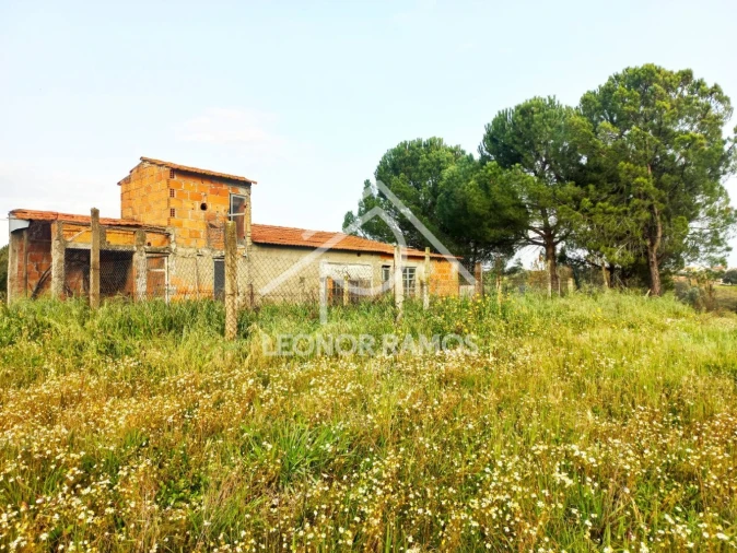 Terreno para Venda em Vila Velha de Rodão