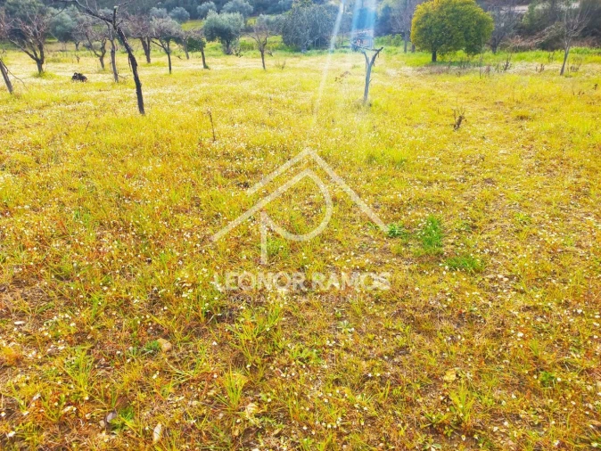 Terreno para Venda em Vila Velha de Rodão Foto 32