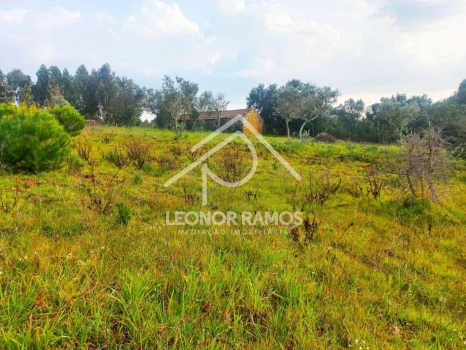 Terreno para Venda em Vila Velha de Rodão Foto 18