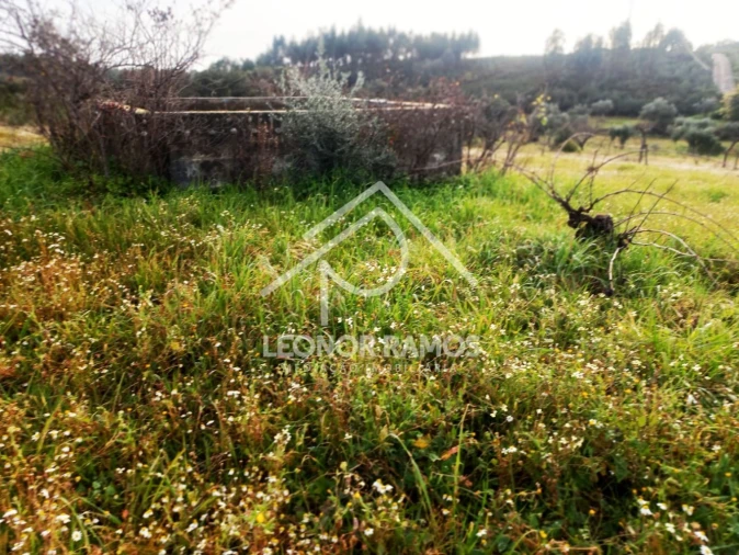 Terreno para Venda em Vila Velha de Rodão Foto 31