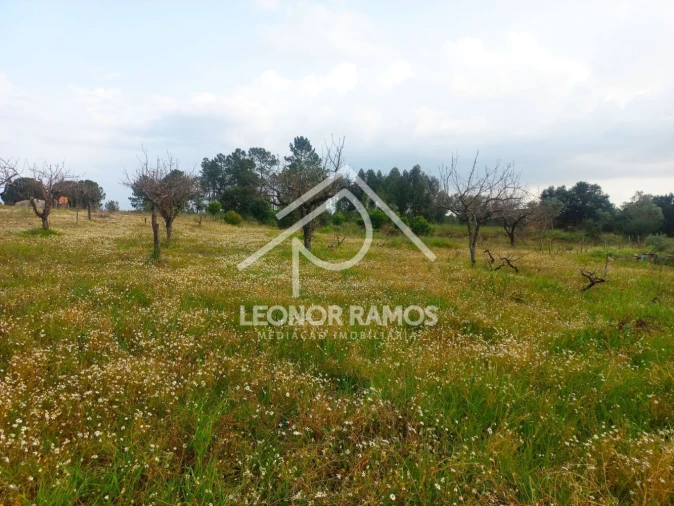 Terreno para Venda em Vila Velha de Rodão Foto 10