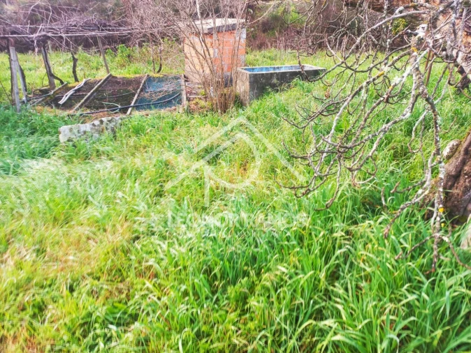 Terreno para Venda em Vila Velha de Rodão Foto 14