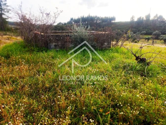 Terreno para Venda em Vila Velha de Rodão Foto 30