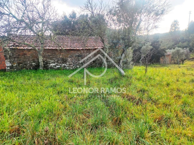 Terreno para Venda em Vila Velha de Rodão Foto 19