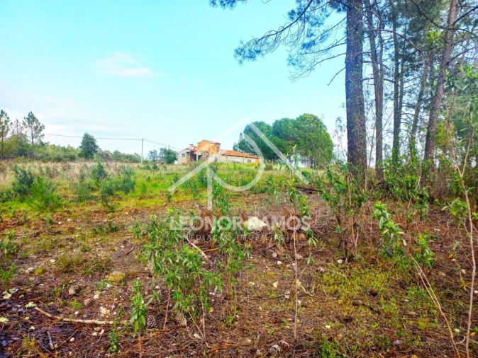 Terreno para Venda em Vila Velha de Rodão Foto 23