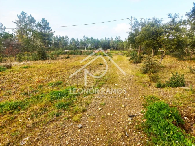 Terreno para Venda em Vila Velha de Rodão Foto 29