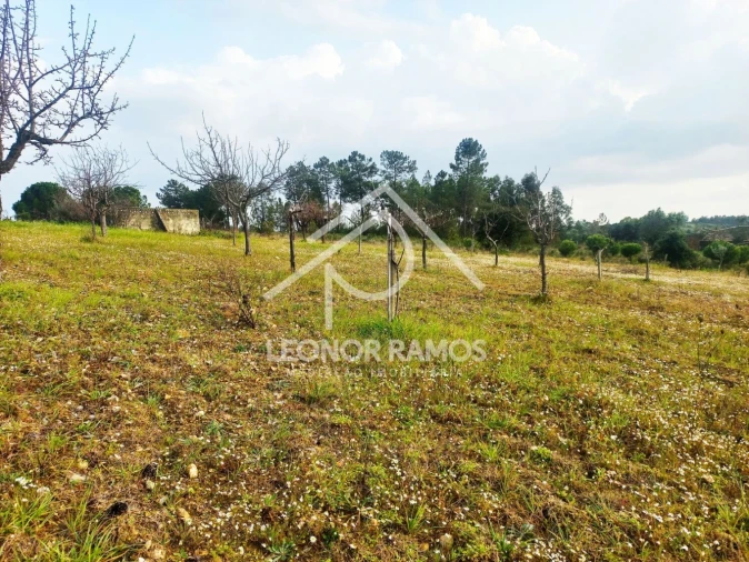 Terreno para Venda em Vila Velha de Rodão Foto 6