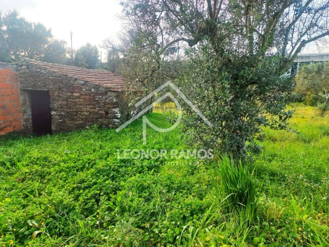 Terreno para Venda em Vila Velha de Rodão Foto 20