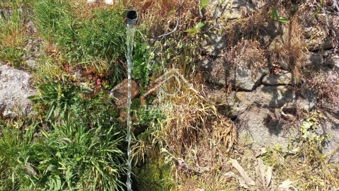 Terreno para Venda em São Vicente da Beira