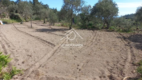 Terreno para Venda em São Vicente da Beira