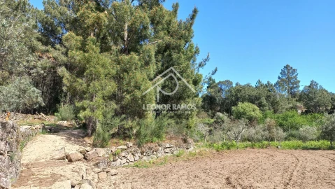 Terreno para Venda em São Vicente da Beira