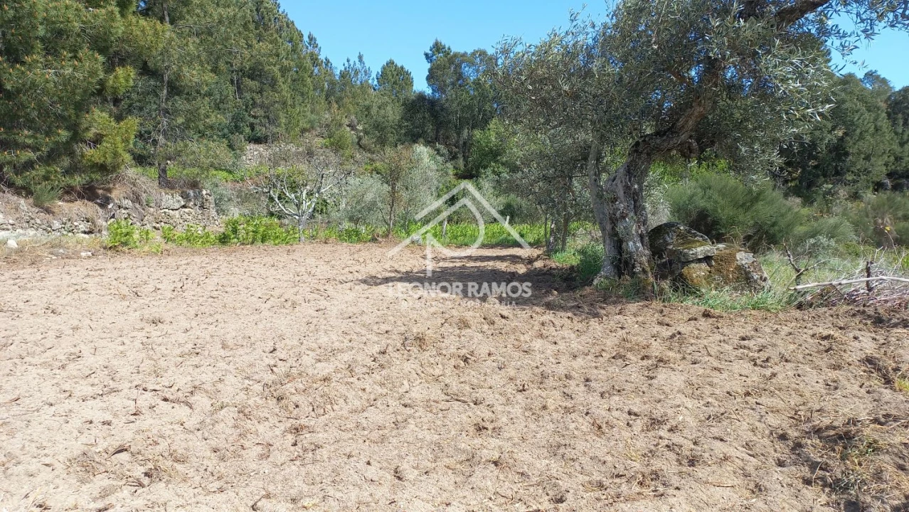 Terreno para Venda em São Vicente da Beira Foto 7