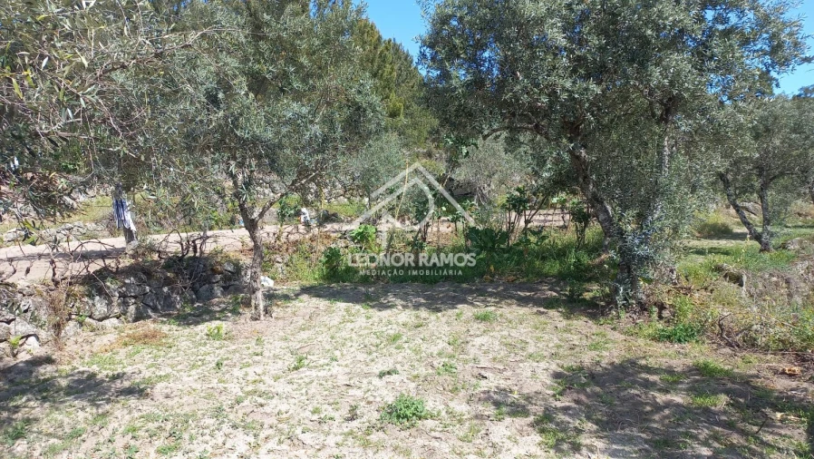 Terreno para Venda em São Vicente da Beira Foto 2