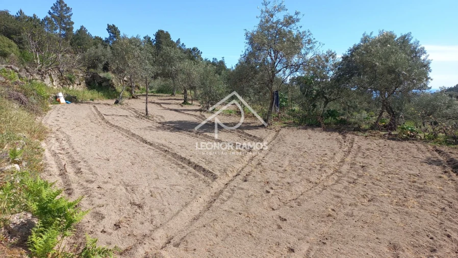 Terreno para Venda em São Vicente da Beira Foto 4