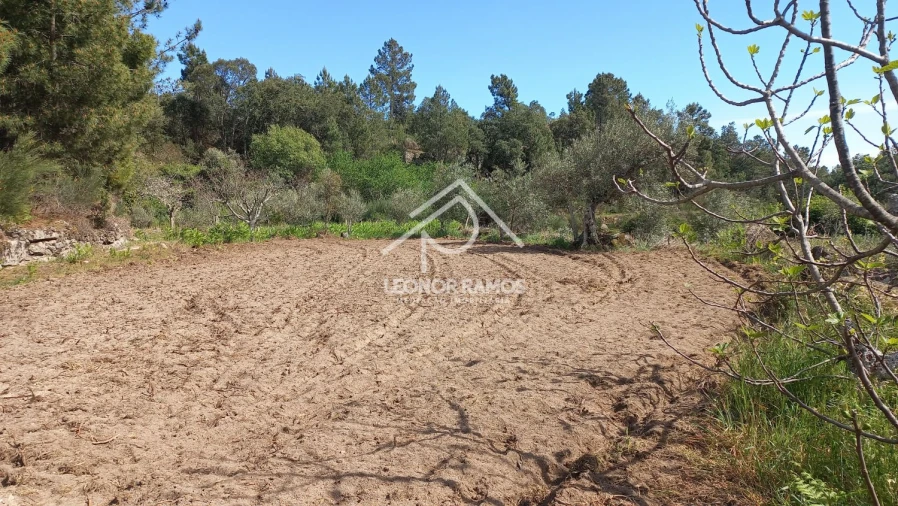 Terreno para Venda em São Vicente da Beira Foto 10