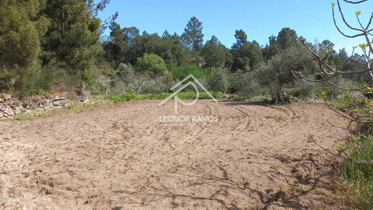 Terreno para Venda em São Vicente da Beira Foto 8