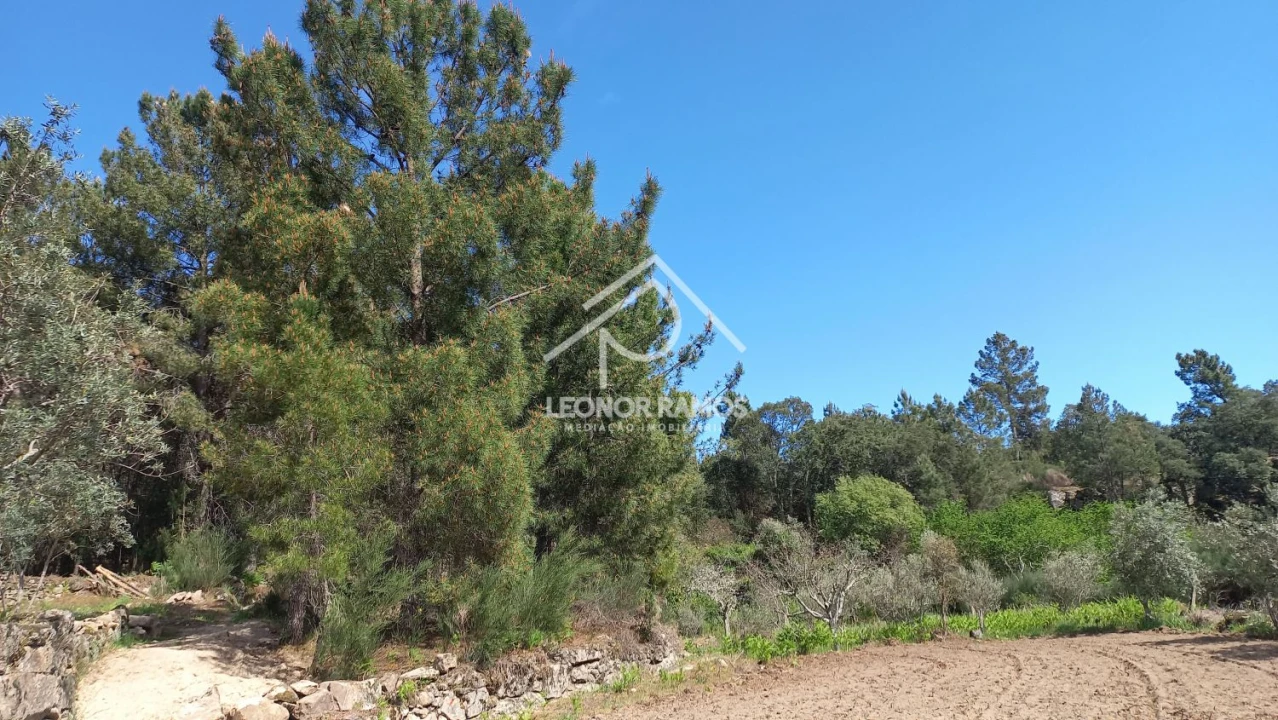 Terreno para Venda em São Vicente da Beira Foto 9
