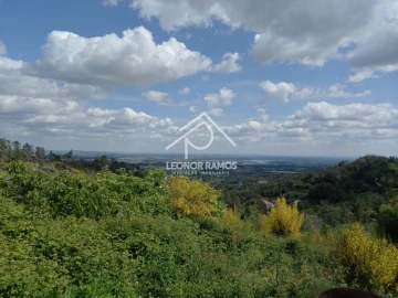 Terreno para Venda em São Vicente da Beira