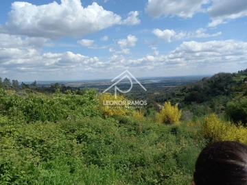 Terreno para Venda em São Vicente da Beira
