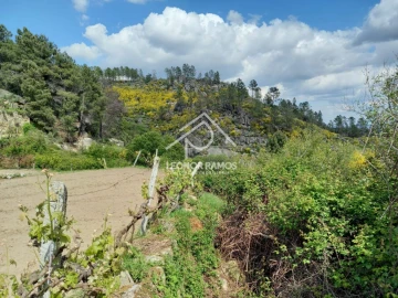 Terreno para Venda em São Vicente da Beira