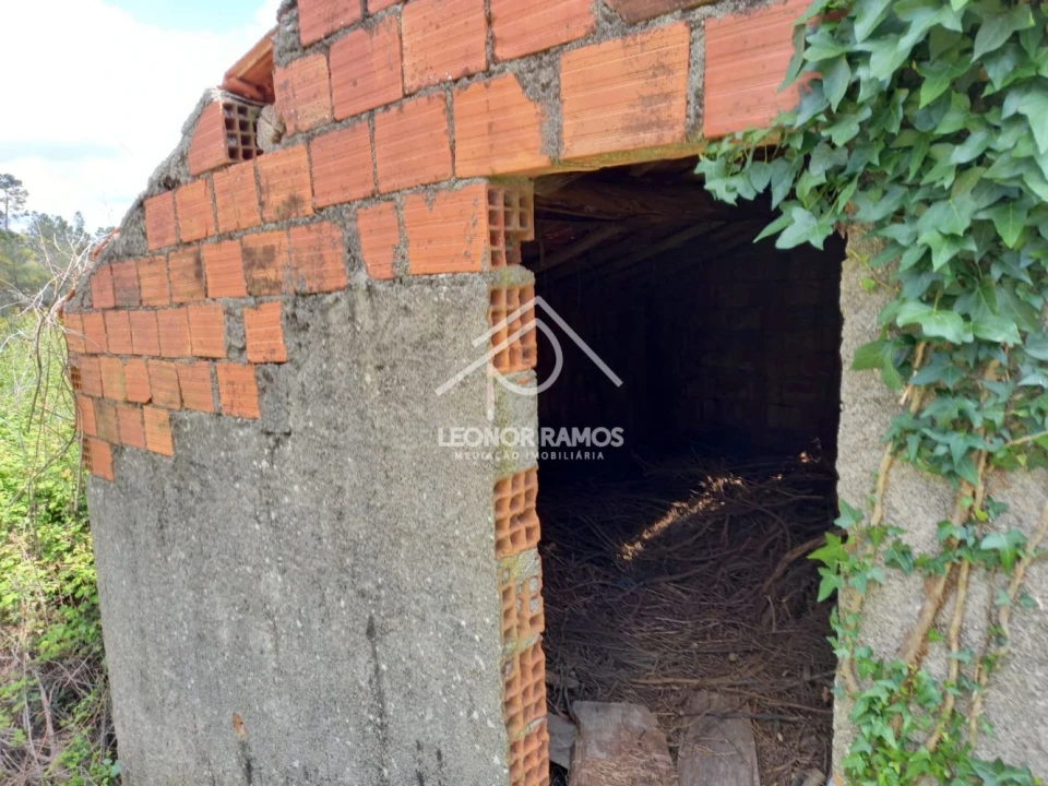 Terreno para Venda em São Vicente da Beira Foto 9