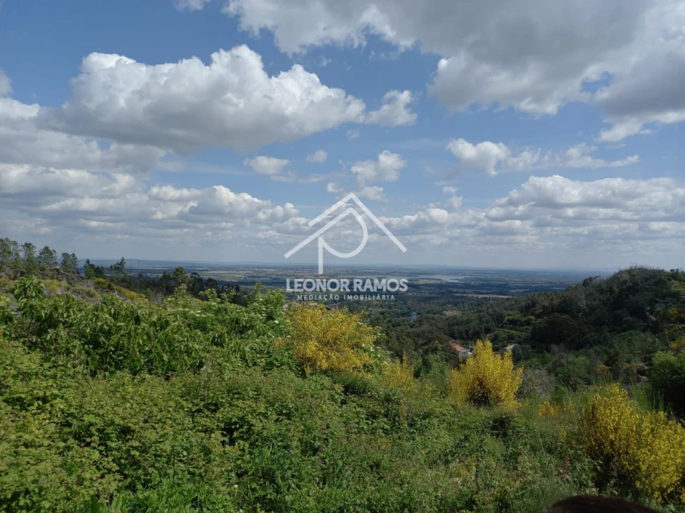 Terreno para Venda em São Vicente da Beira Foto 10