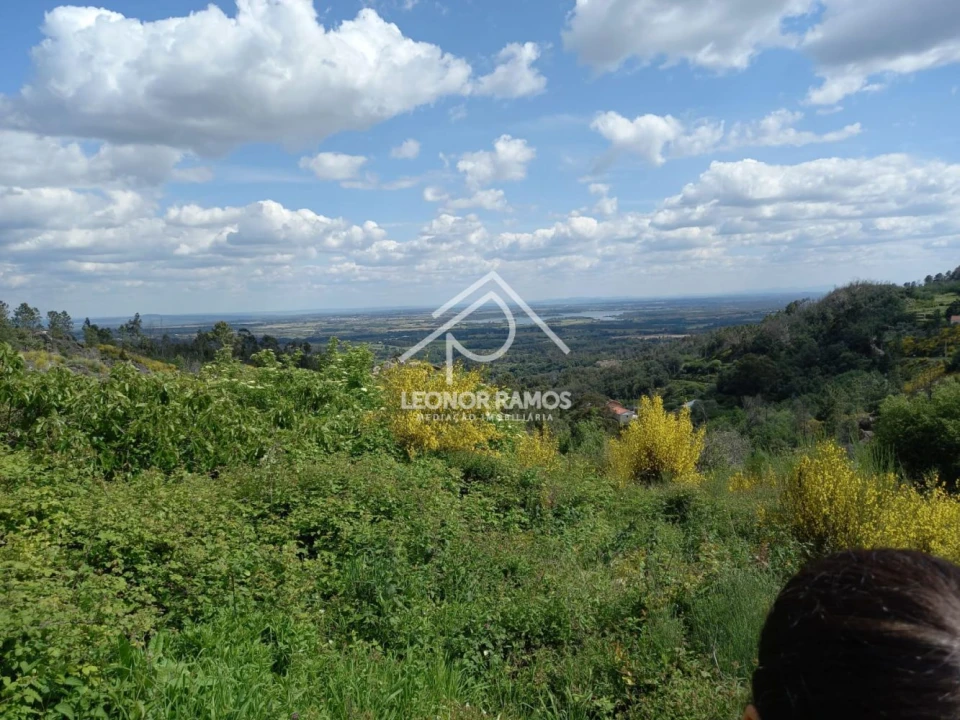 Terreno para Venda em São Vicente da Beira Foto 11