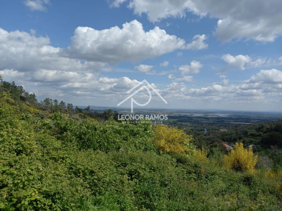 Terreno para Venda em São Vicente da Beira Foto 16