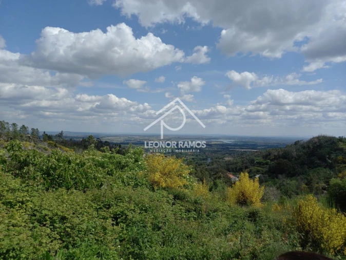 Terreno para Venda em São Vicente da Beira Foto 10