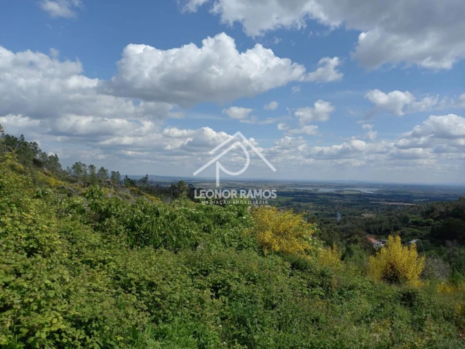 Terreno para Venda em São Vicente da Beira Foto 16