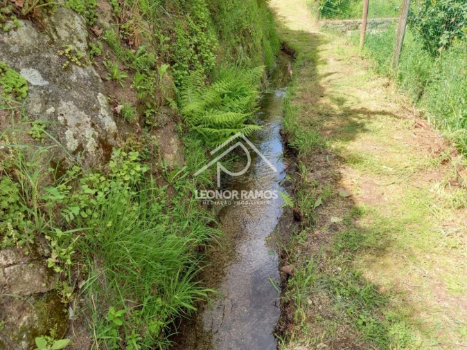 Terreno para Venda em São Vicente da Beira Foto 3