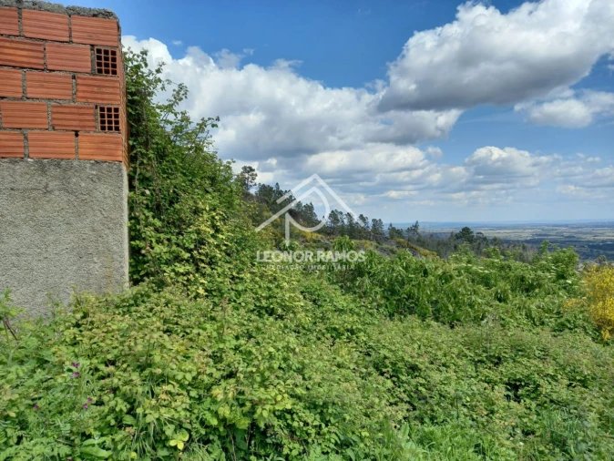 Terreno para Venda em São Vicente da Beira Foto 5
