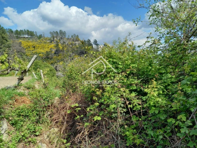 Terreno para Venda em São Vicente da Beira Foto 12
