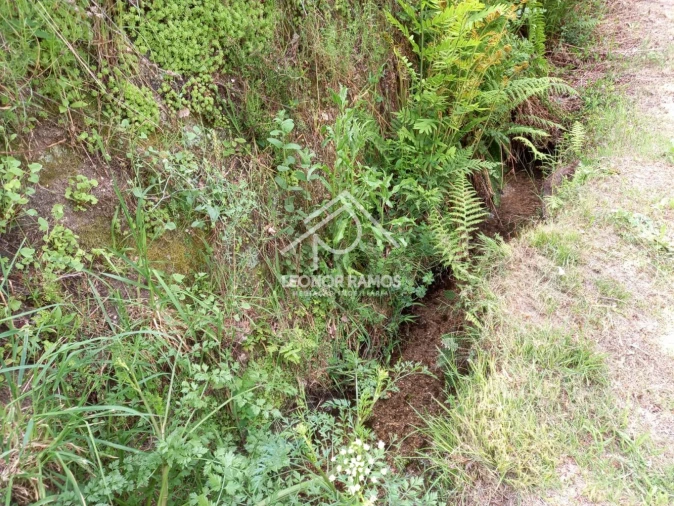 Terreno para Venda em São Vicente da Beira Foto 4