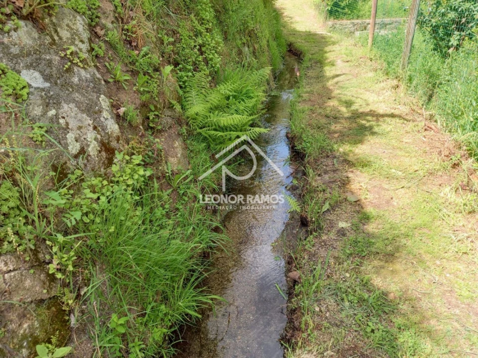 Terreno para Venda em São Vicente da Beira Foto 3