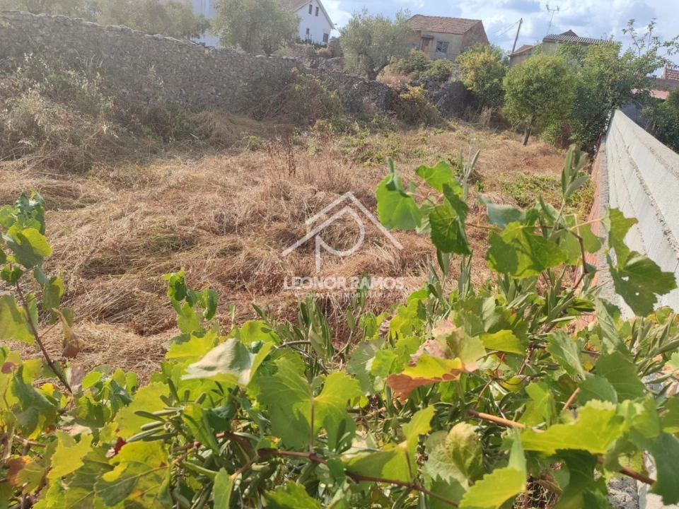 Terreno para Venda em Castelo Branco Foto 4