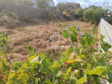 Terreno para Venda em Castelo Branco
