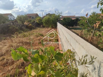 Terreno para Venda em Castelo Branco