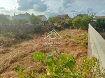 Terreno para Venda em Castelo Branco
