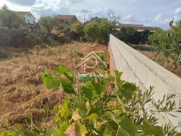 Terreno para Venda em Castelo Branco