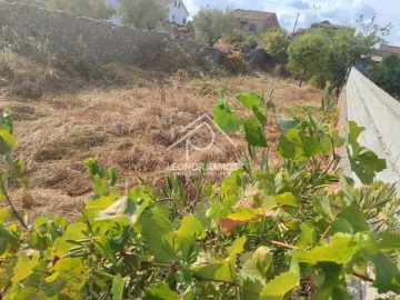 Terreno para Venda em Castelo Branco