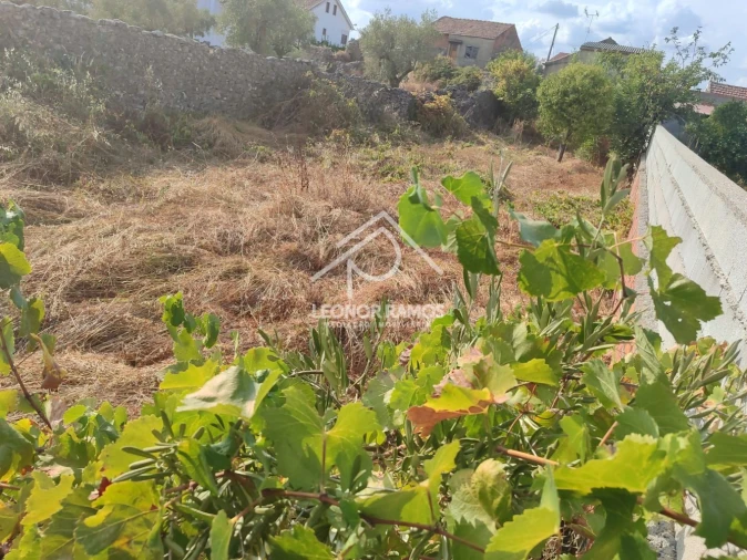 Terreno para Venda em Castelo Branco Foto 3